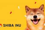 Лучший способ где и как купить токен Shiba Inu (Shiaba). полное руководство 2021 года